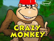 Crazy Monkey Slot Screenshot
